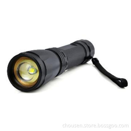 Chousen high brightness CREE LED Torch